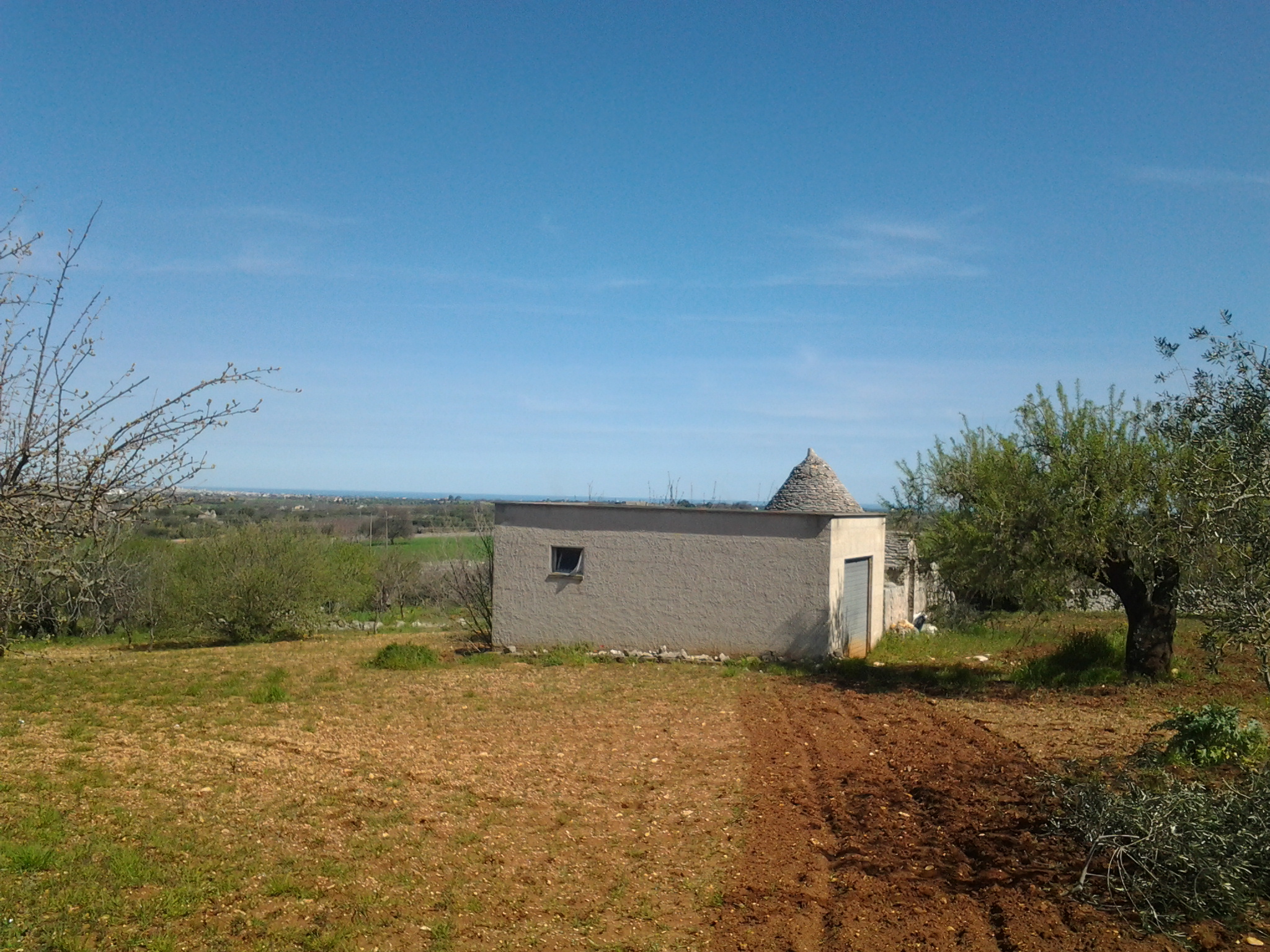 Tra Conversano e Putignano Trullo Con Annesso Deposito e Terreno